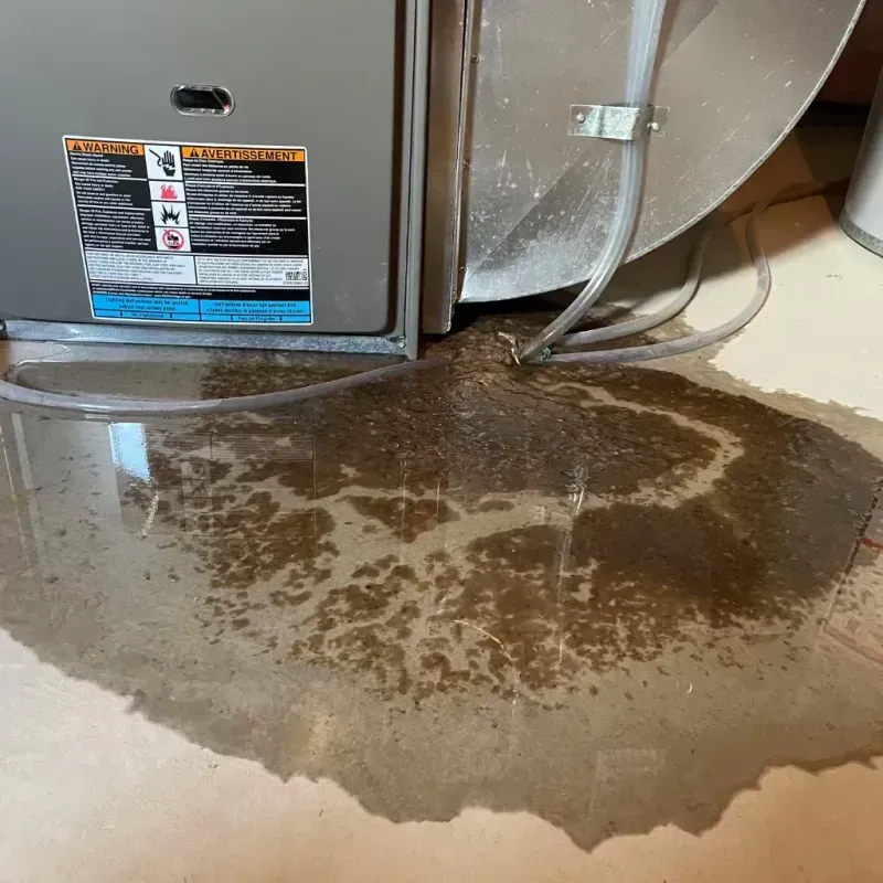 Appliance Leak Cleanup in Springfield, NY